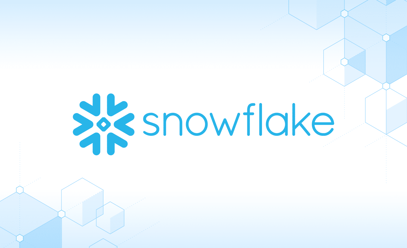 snowflake partner logo